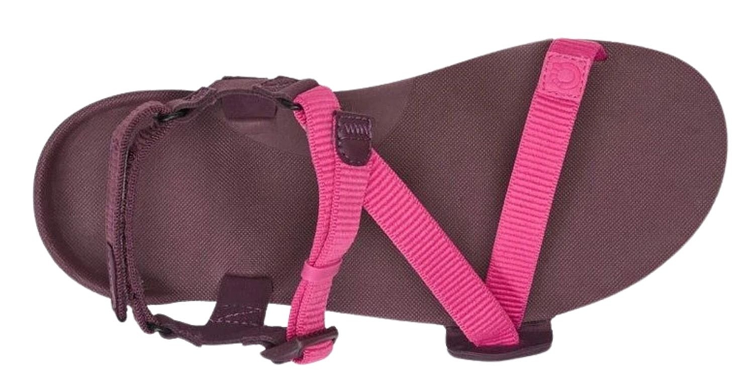 Schuhe Xero Shoes Z-Trail EV - Fuchsia Purple - women´s