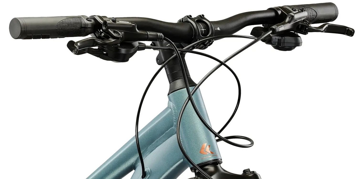 vélo Kross Lea X300 29" - Green Matt/Copper Gloss - women´s