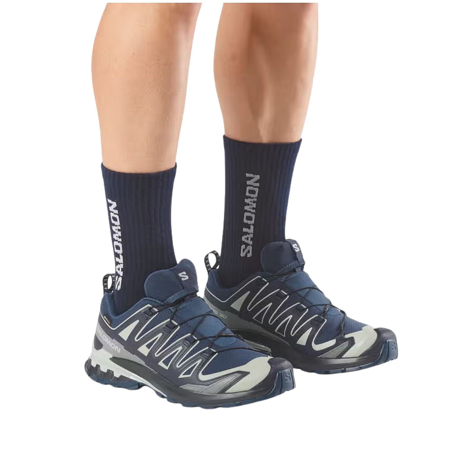 boty Salomon XA Pro 3D V9 GTX - Spellbound/Maritime Blue/Wrought Iron