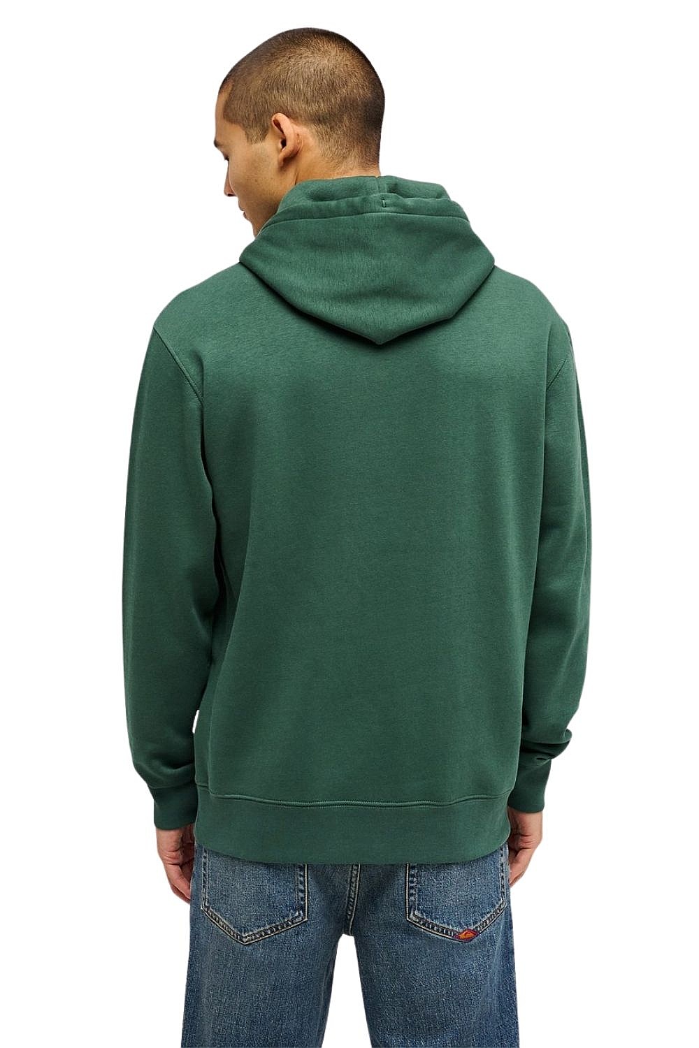 sweat-shirt Quiksilver Salt Water Hoodie - GRT0/Forest - men´s