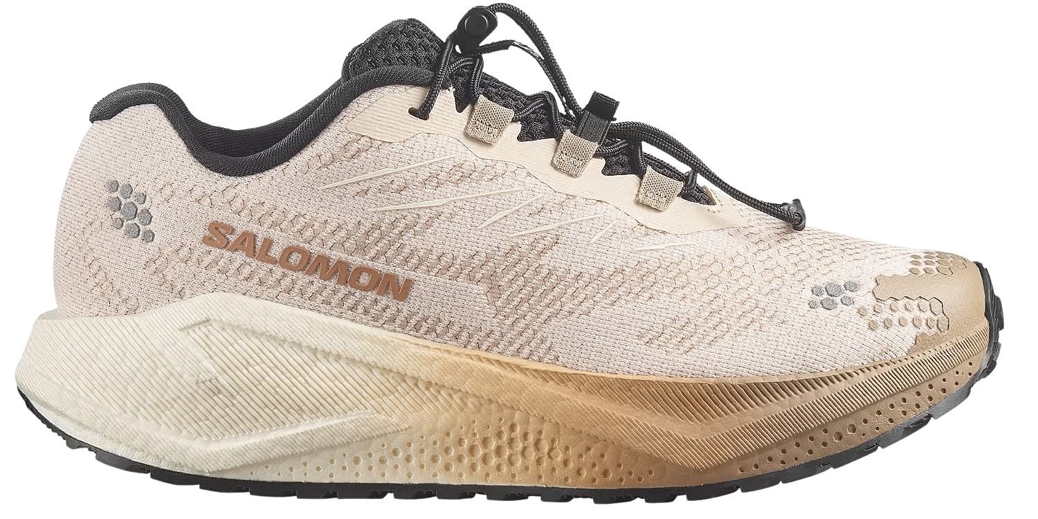 Schuhe Salomon Aero Blaze 4 Grvl W - Tapioca/Vanilla Ice/Black - women´s