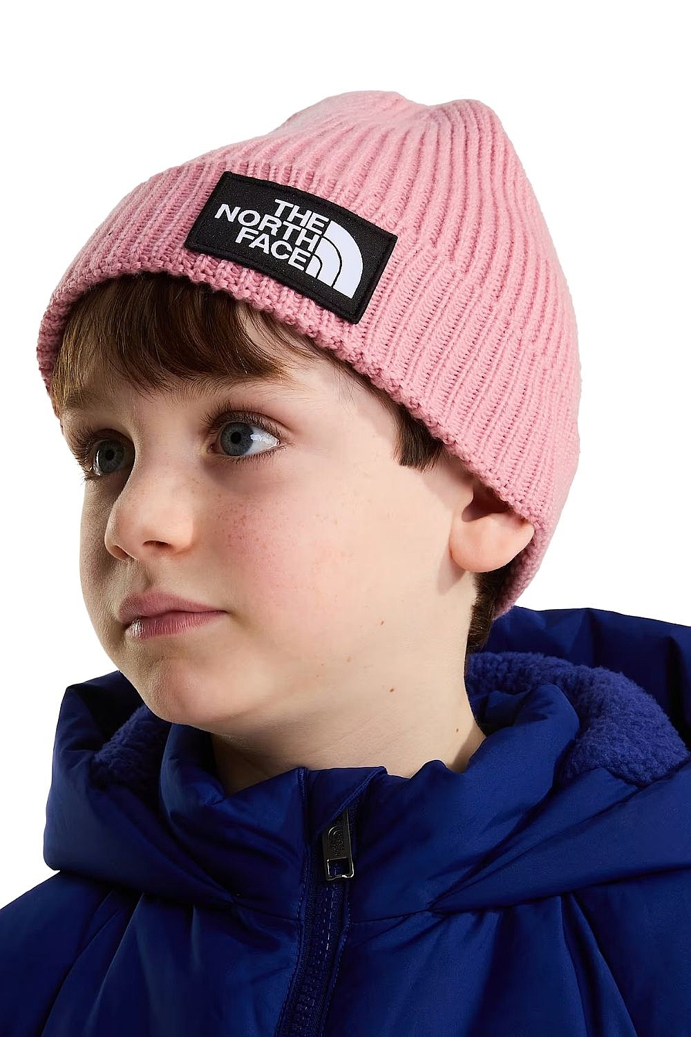 Mütze The North Face TNF Logo Box Cuffed - Primrose - unisex junior