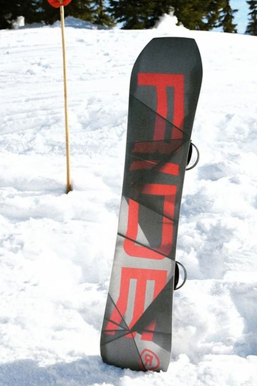snowboard Ride Twinpig Camber - Design