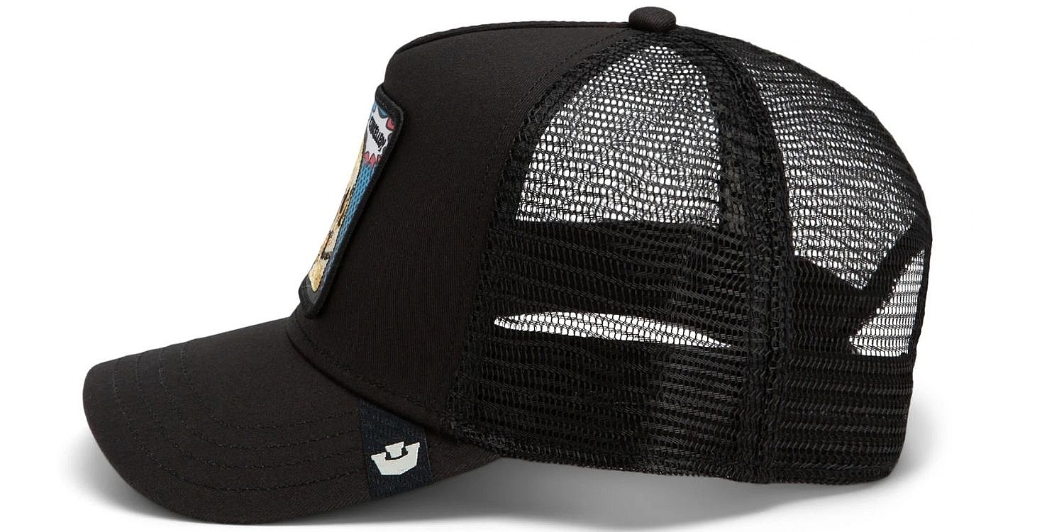 czapka z daszkiem Goorin Bros. POPArt Cancelled Skull Trucker - Void