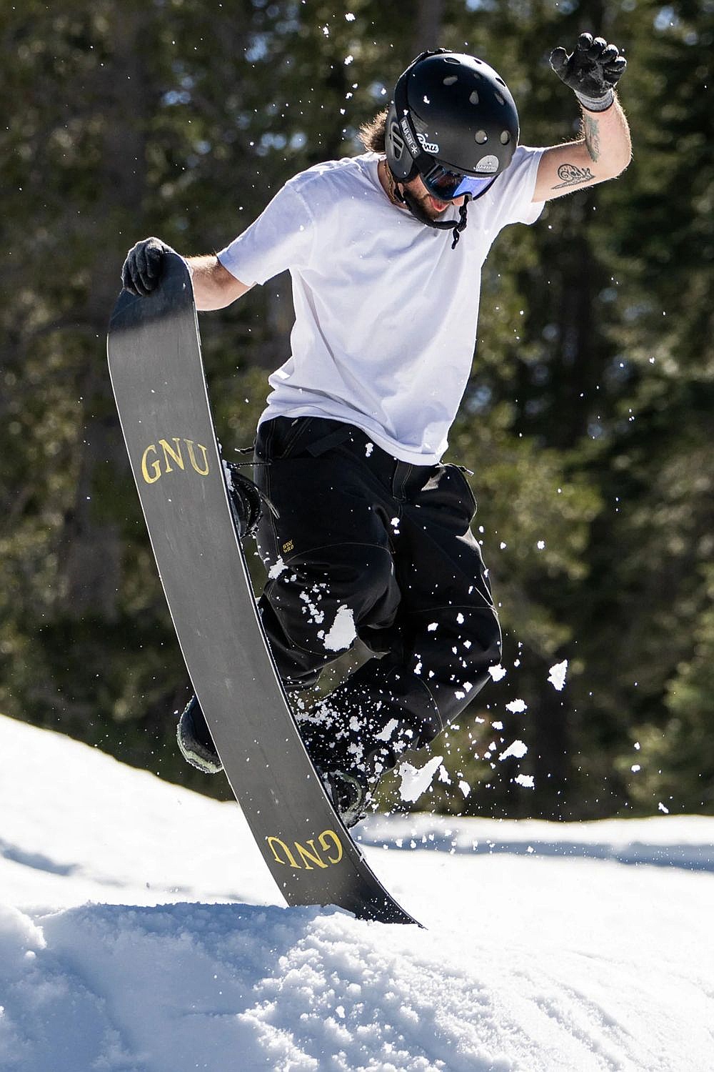 snowboard GNU T.R.E. C2E - Assorted - men´s